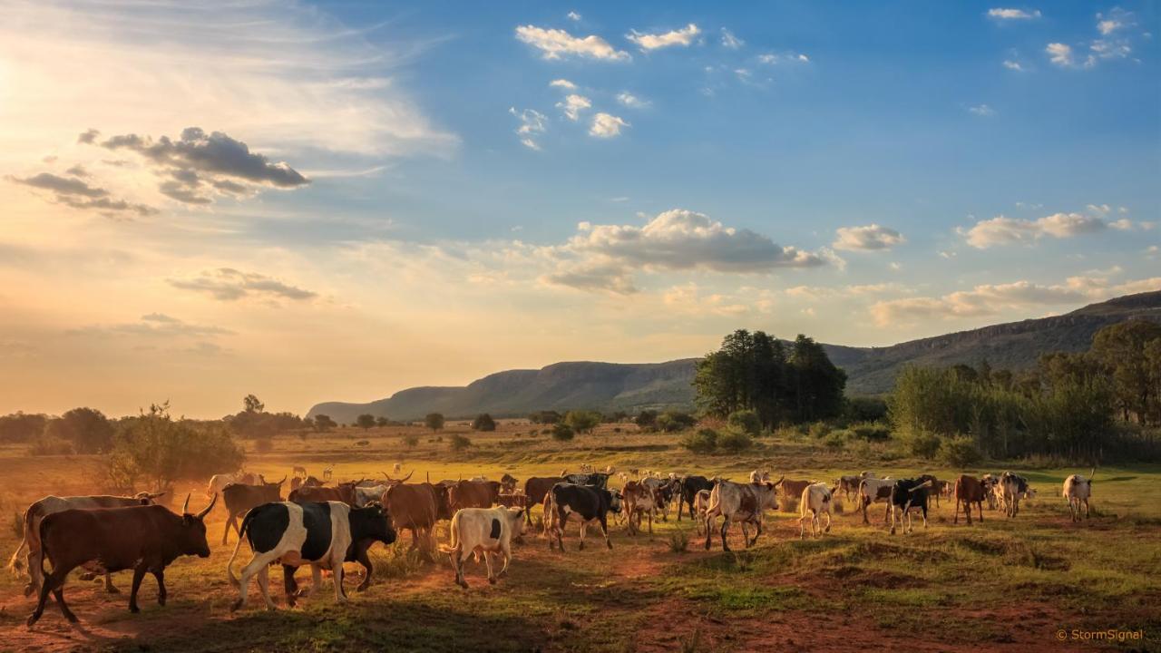 马加利斯堡Thaba Manzi Ranch公寓 外观 照片